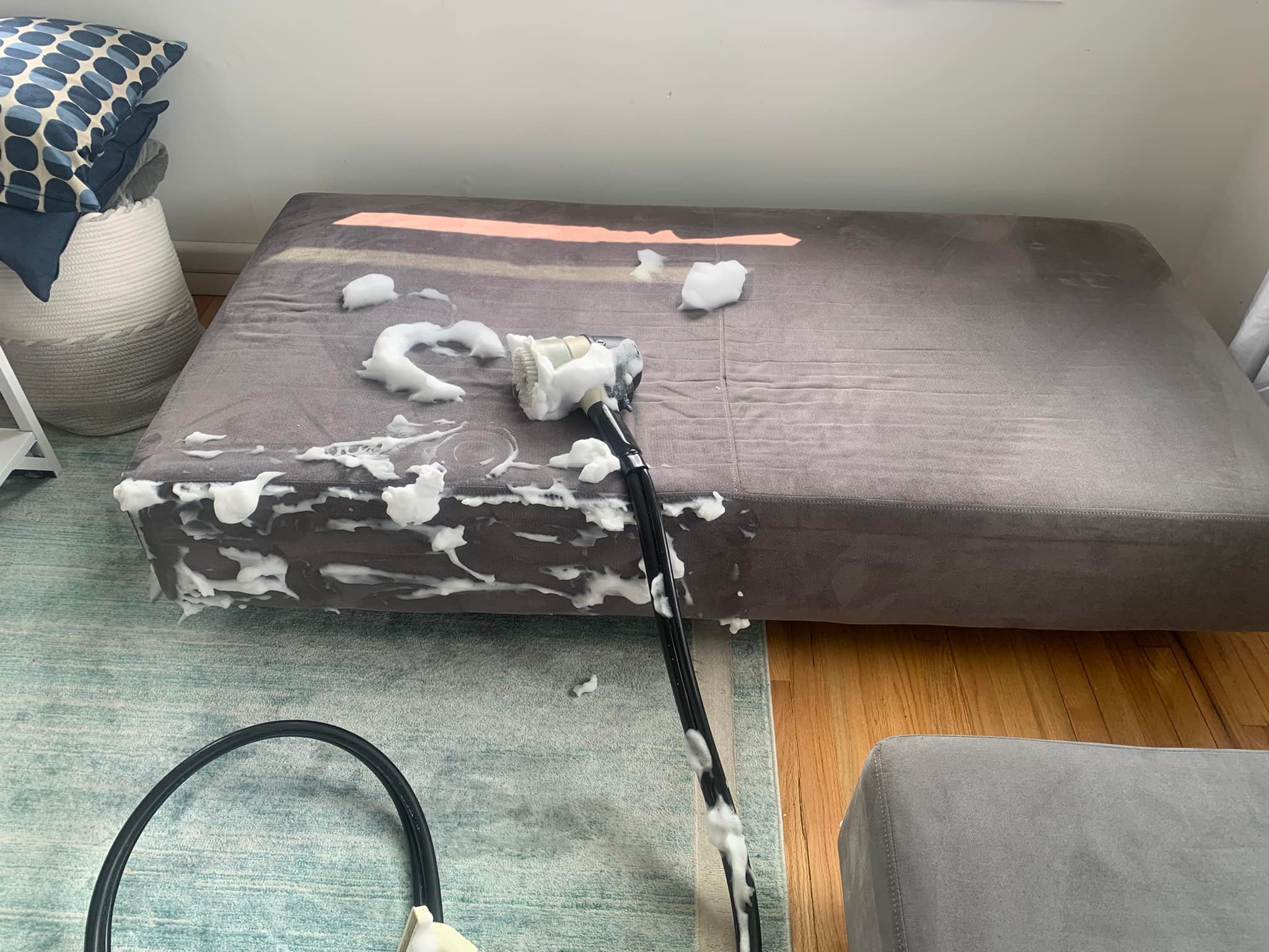 Carpet Cleaning company Pro-Care Carpet & Upholstery Cleaning in Saint James, NY