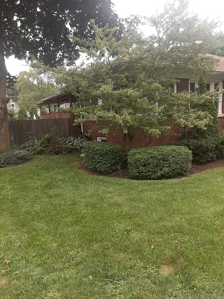  for Henry's Lawn Care in Rockford, IL