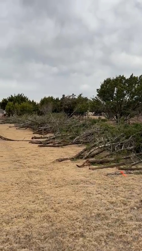 for Green Pastures Lawn Care in Bastrop, TX