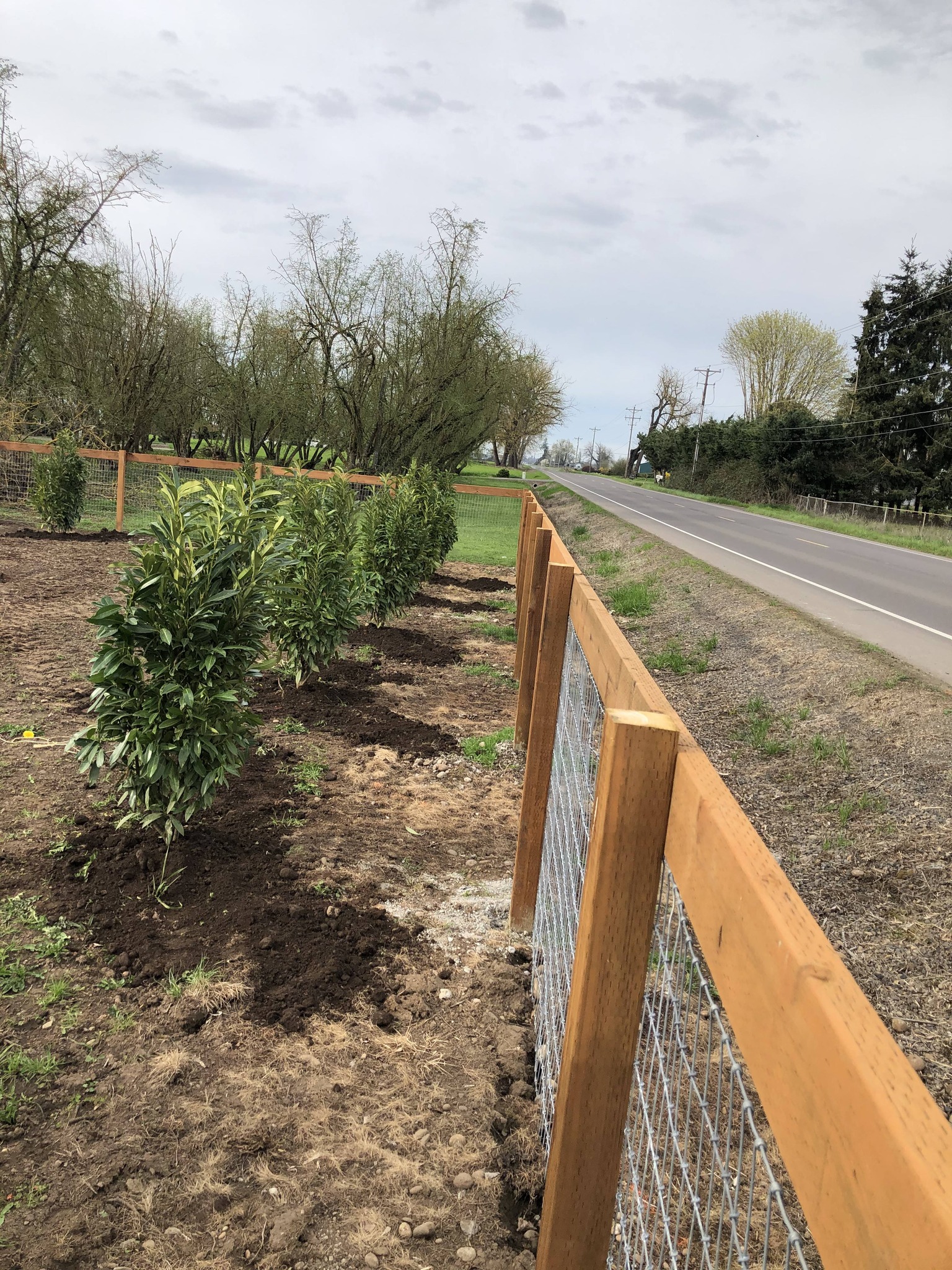  for Ranch Handy Fencing & Cattle LLC in Harrisburg, OR