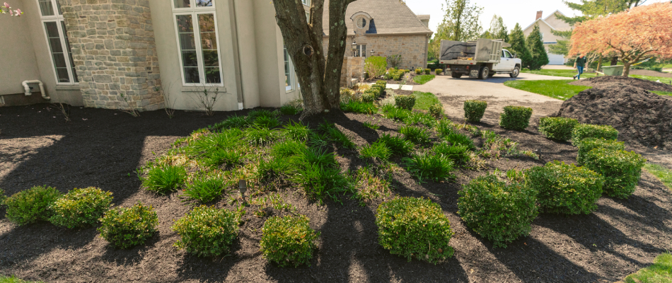  for Cornerstone landscapes in Lecanto, FL