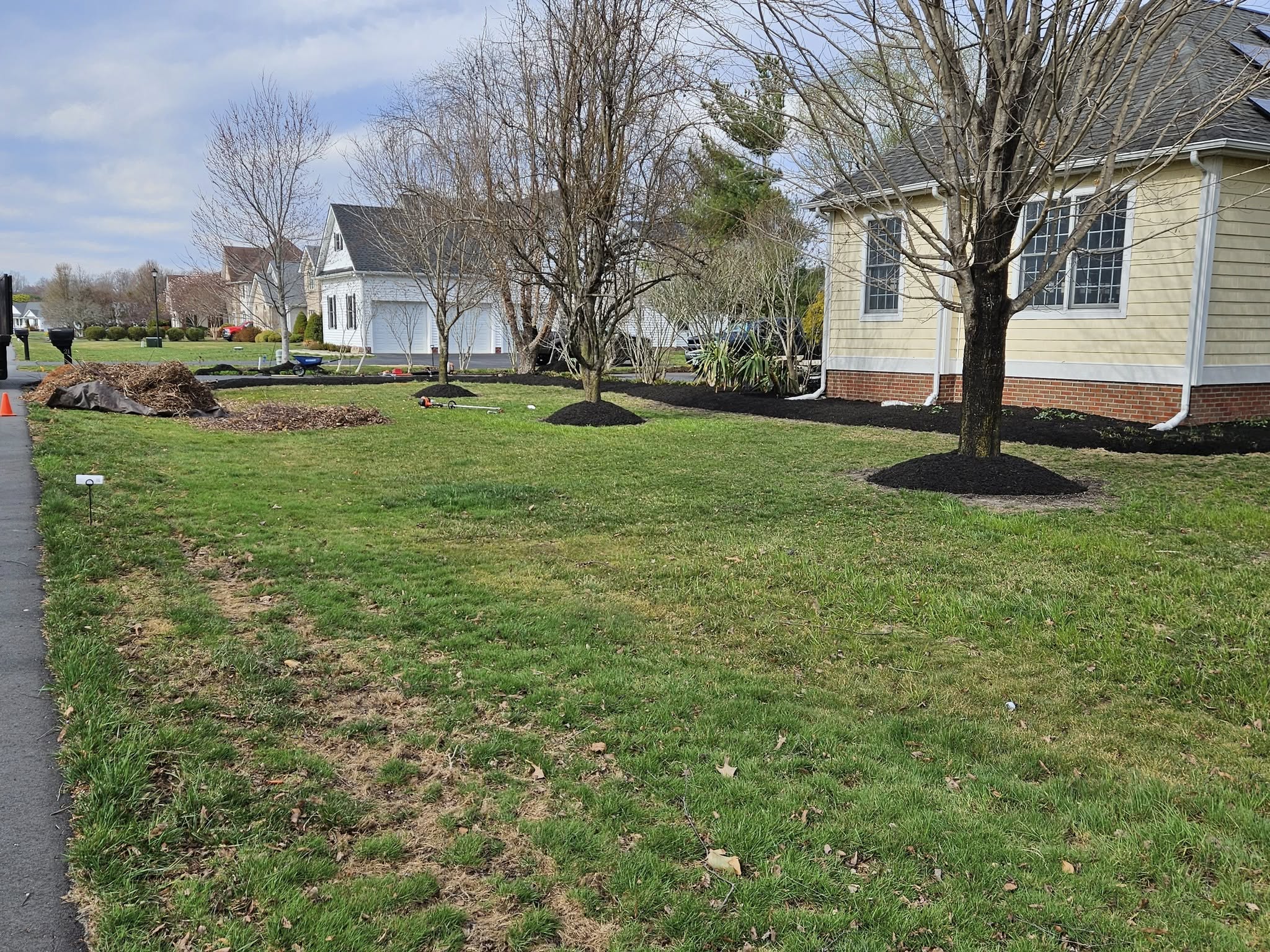  for New Dawn Landscaping LLC in Georgetown, DE