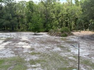  for All Seasons Tree and Land Works in Trenton, FL