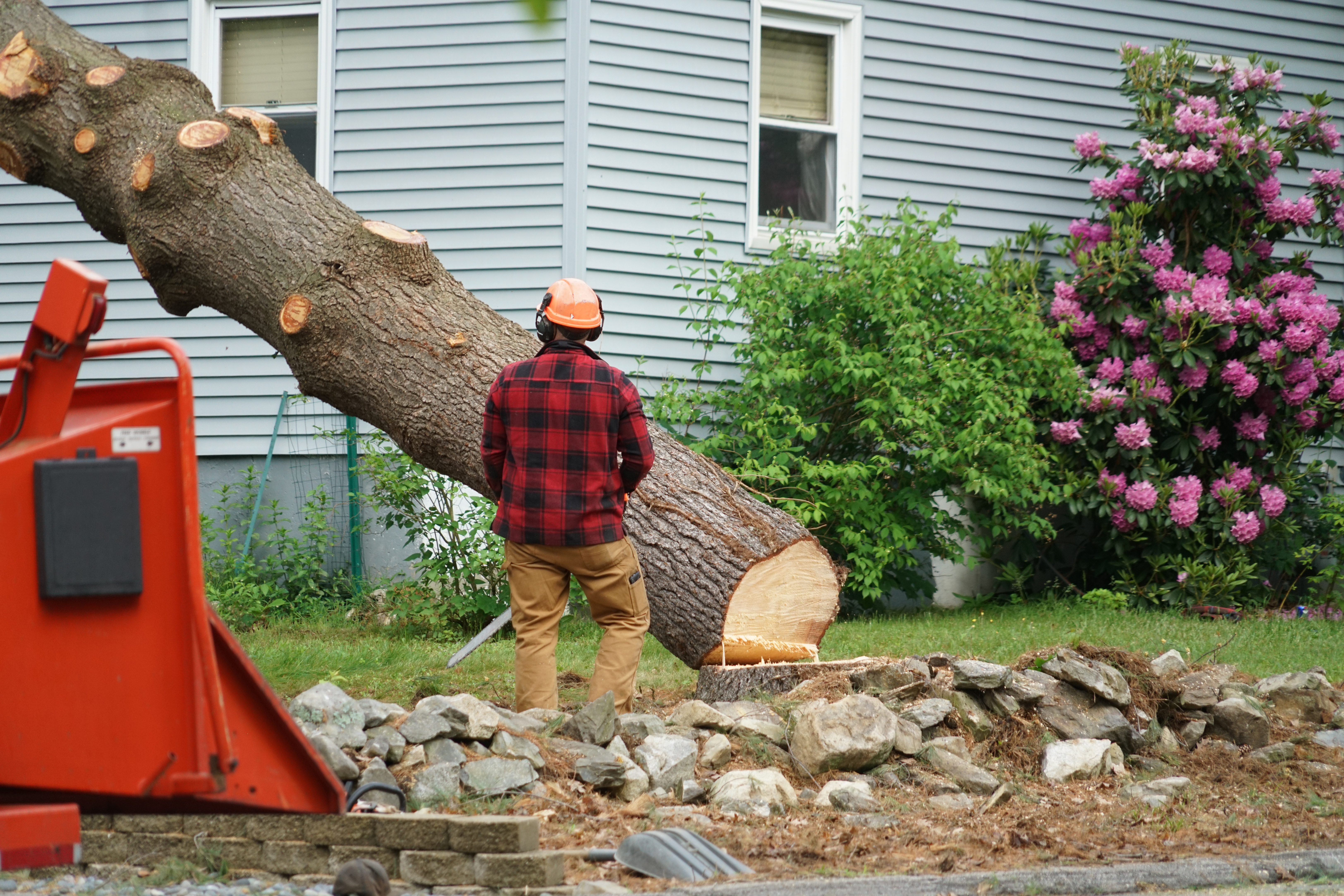  for Williams Tree Service LLC in Indianapolis, IN