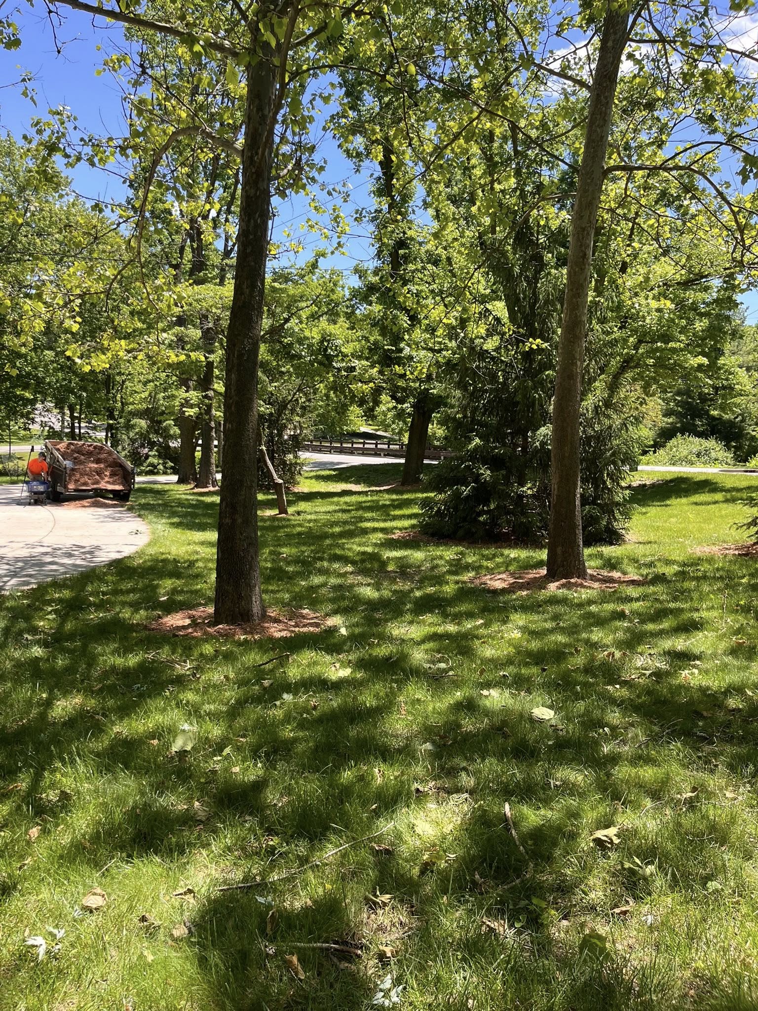  for Finest Lawn N Landscape in Springfield, IL