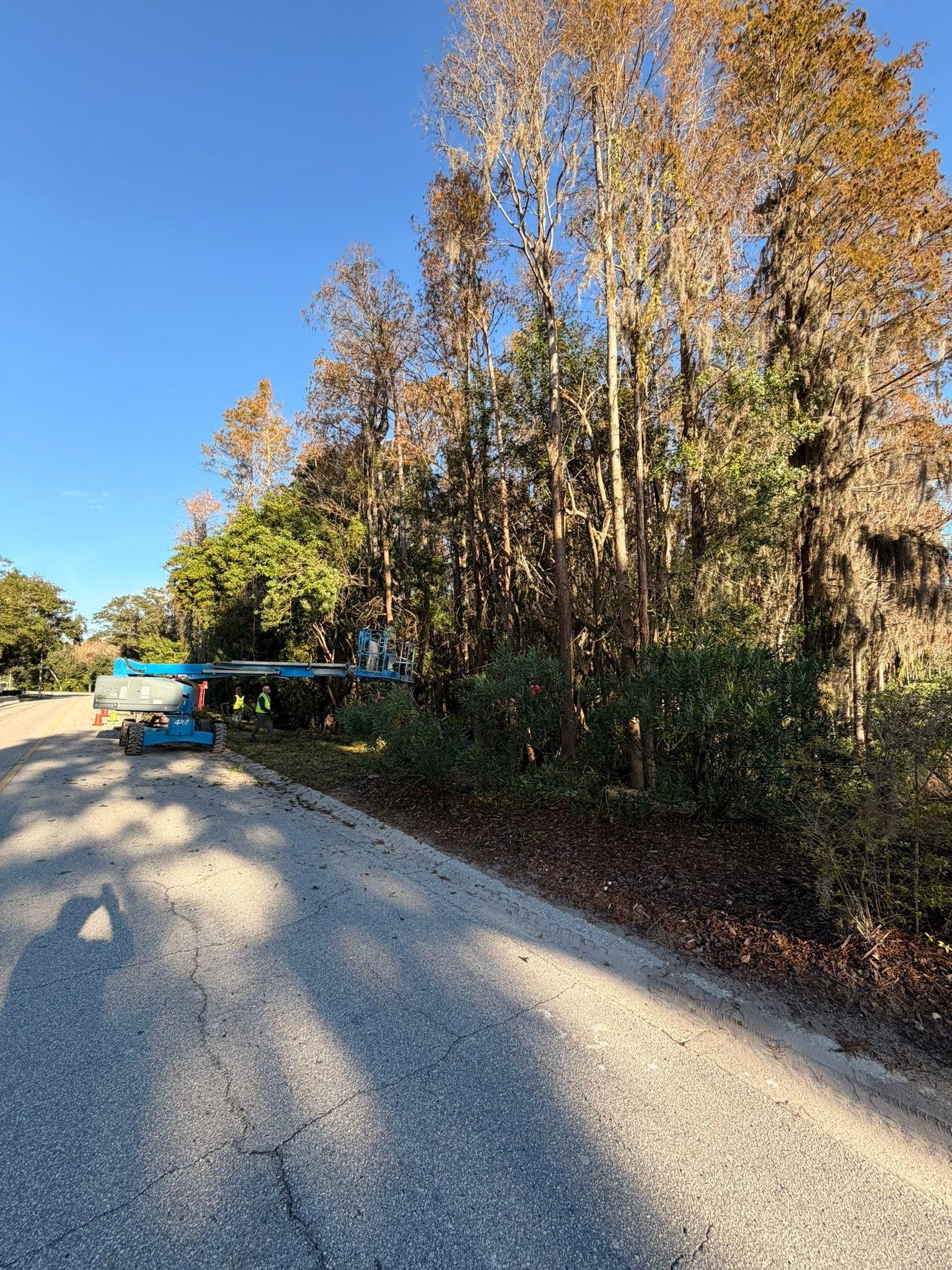  for EB Trees and Landscape in Lutz, FL