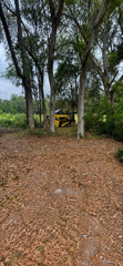  for All Seasons Tree and Land Works in Trenton, FL
