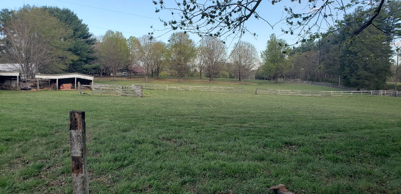  for Clean Cut Lawns & Landscaping in Dickerson, MD