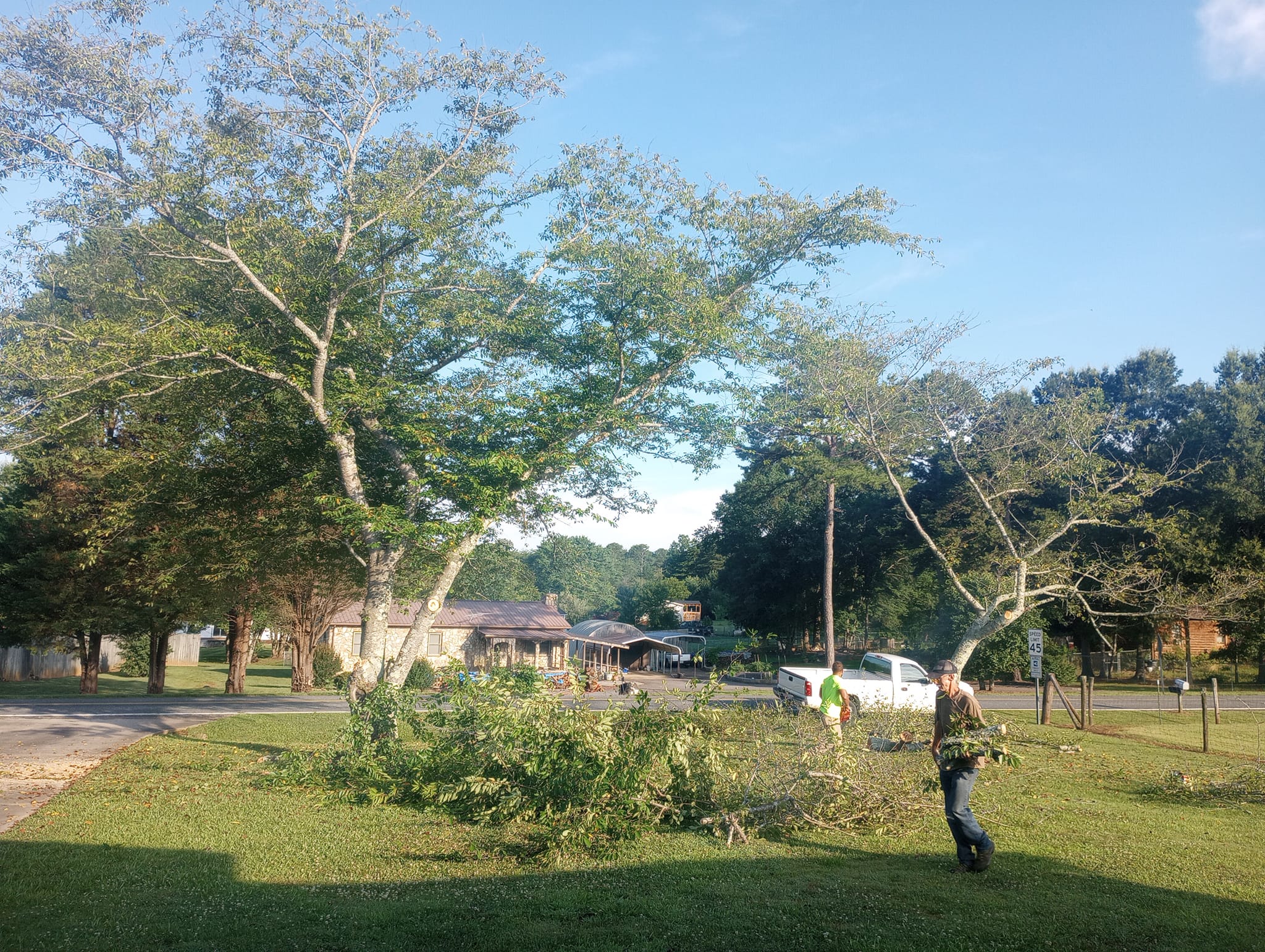  for Backwoods Tree Experts in Vale, NC