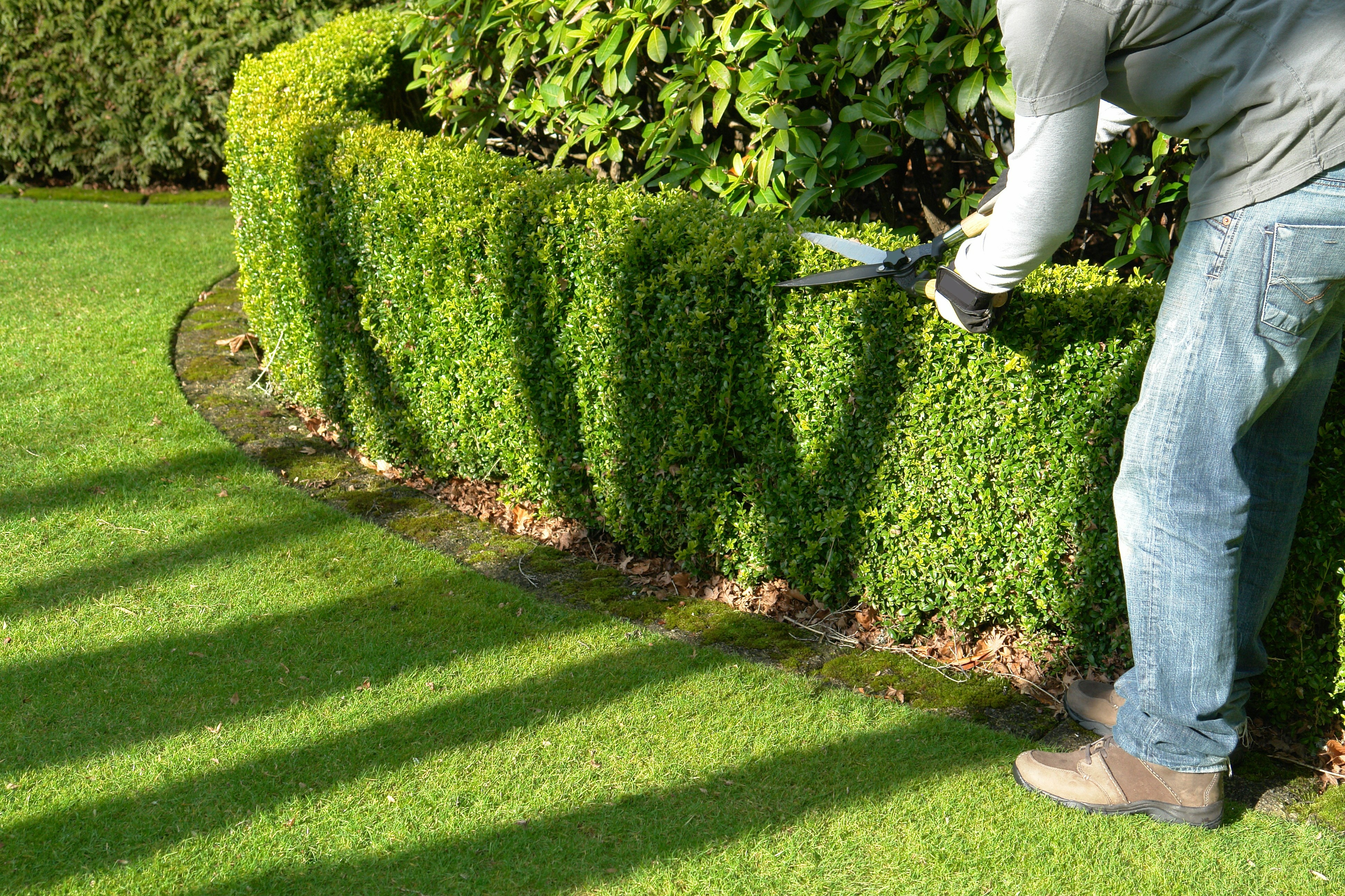  for Tru Tree Service LLC in Lecanto, FL