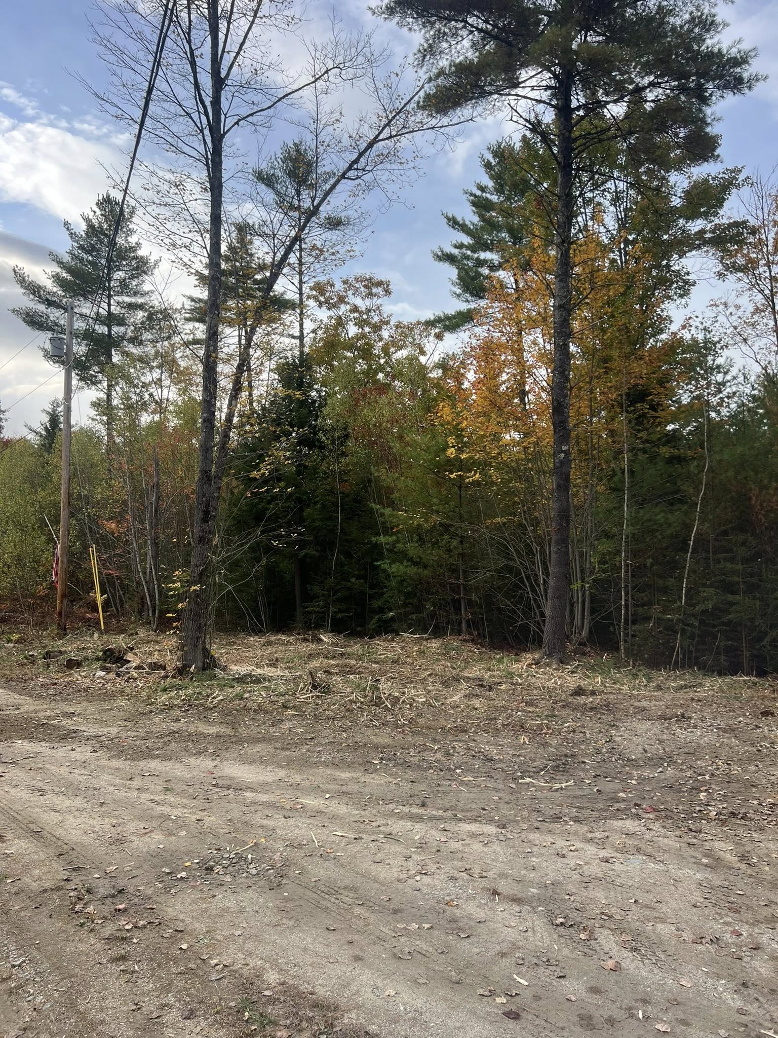 excavating company company Shufelt Excavation & Forestry Mulching in Gray, ME