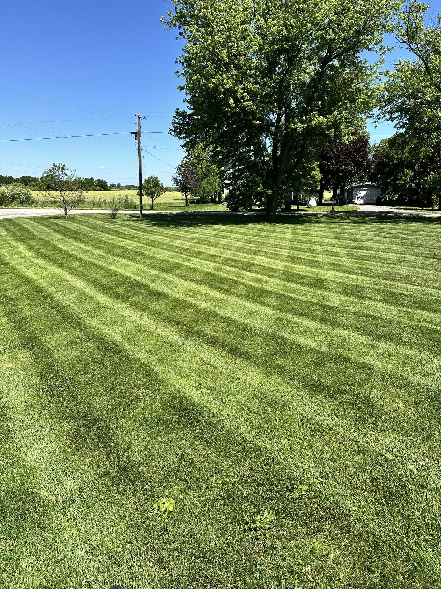  for Sargent's Lawn and Property Maintenance LLC in Lambertville, MI
