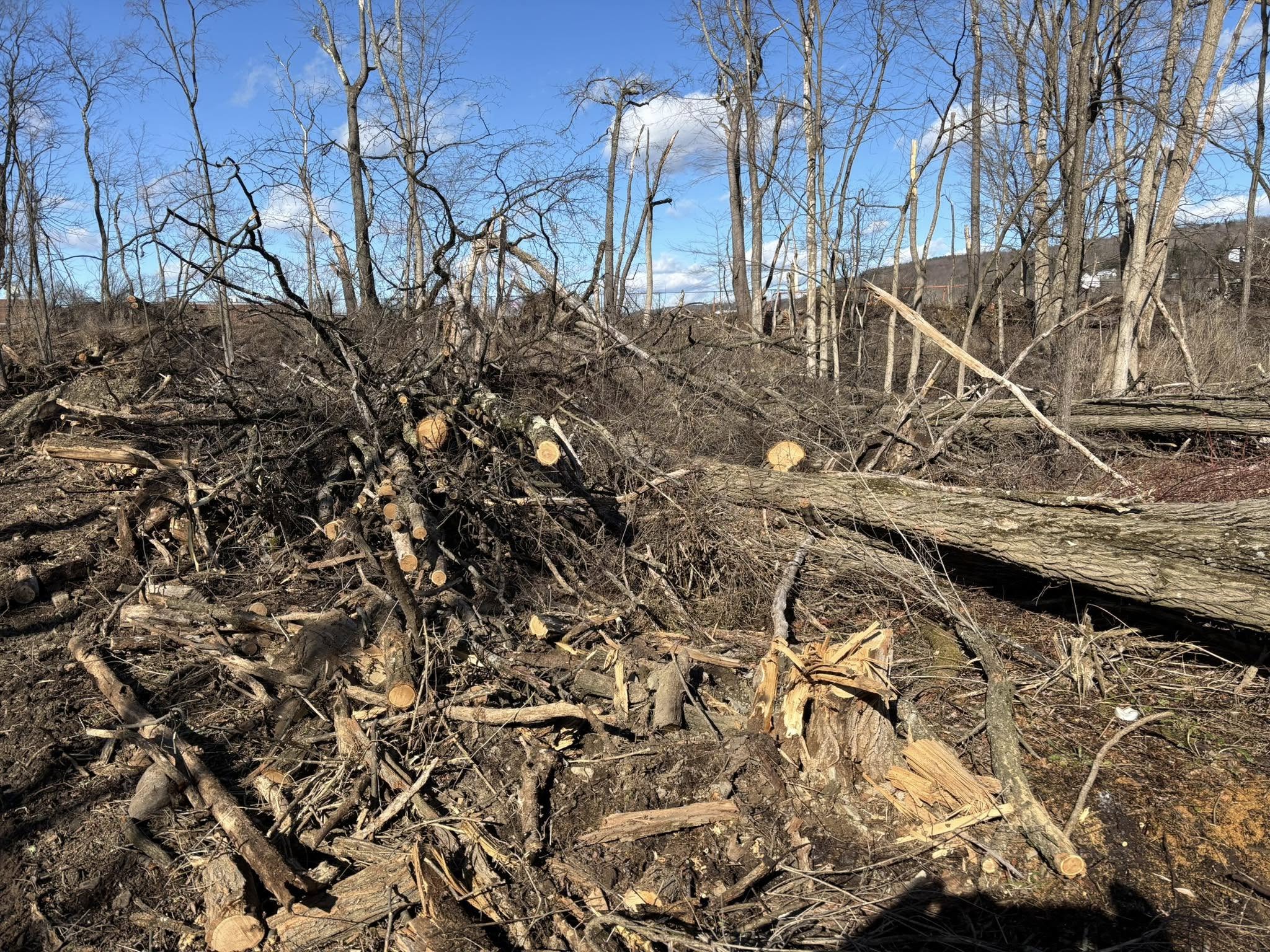  for Brax Forestry in Endicott, NY
