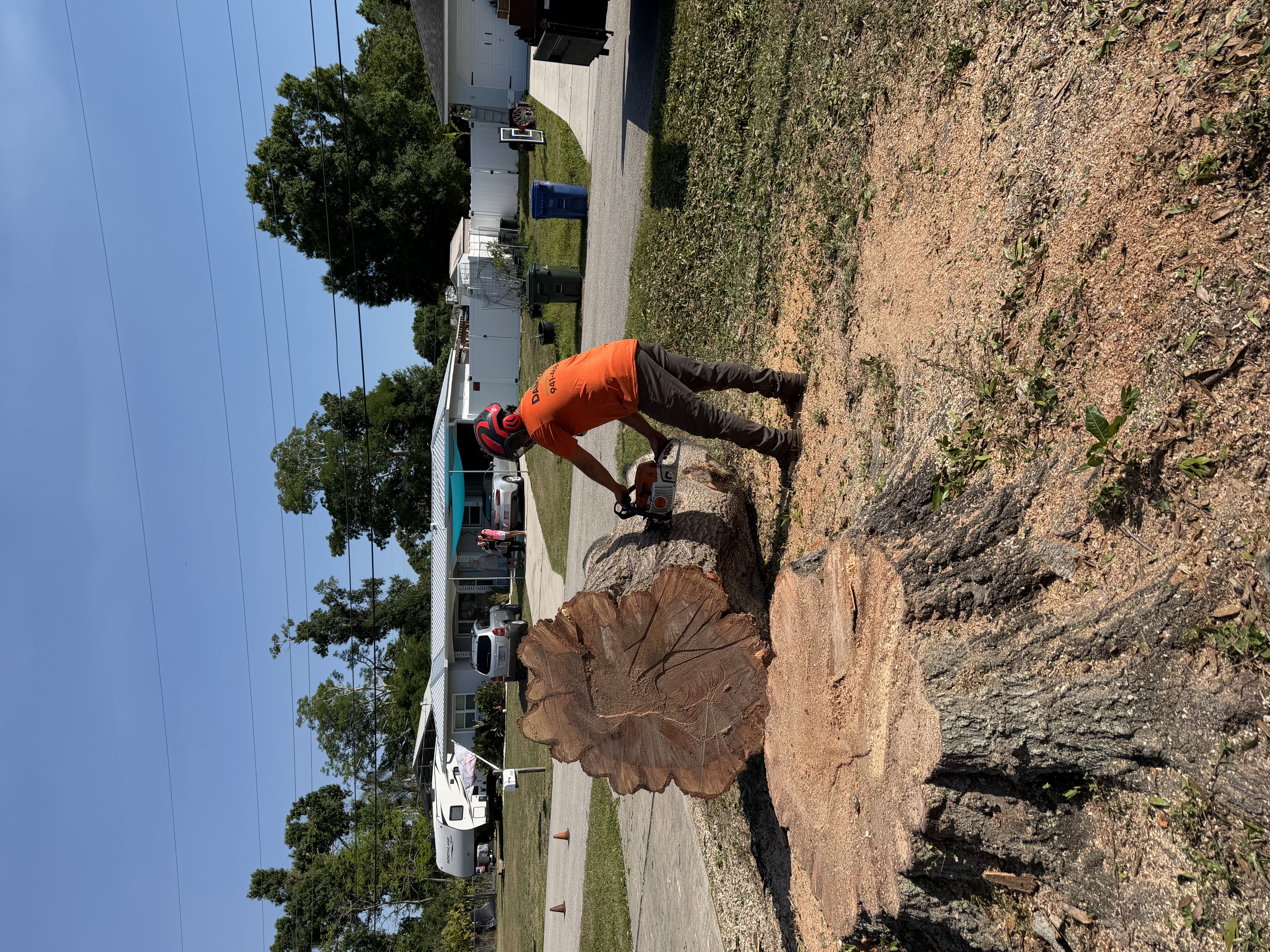  for Damian’s Tree Care in Sarasota, FL