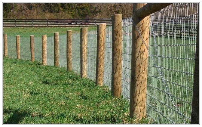 Ranch Handy Fencing & Cattle LLC team in Harrisburg, OR - people or person