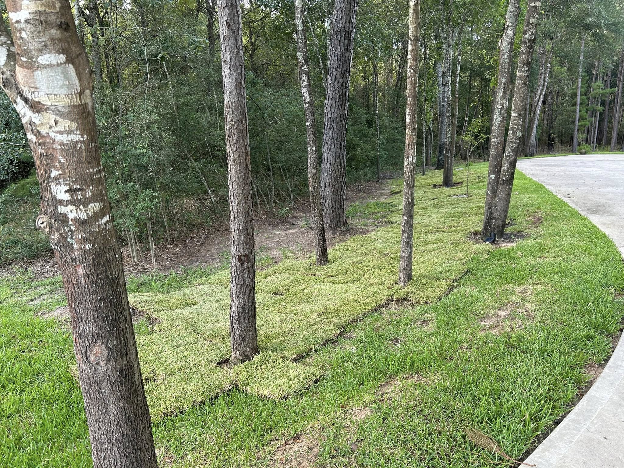 Landscaping company Total Terrain Services in Montgomery, TX