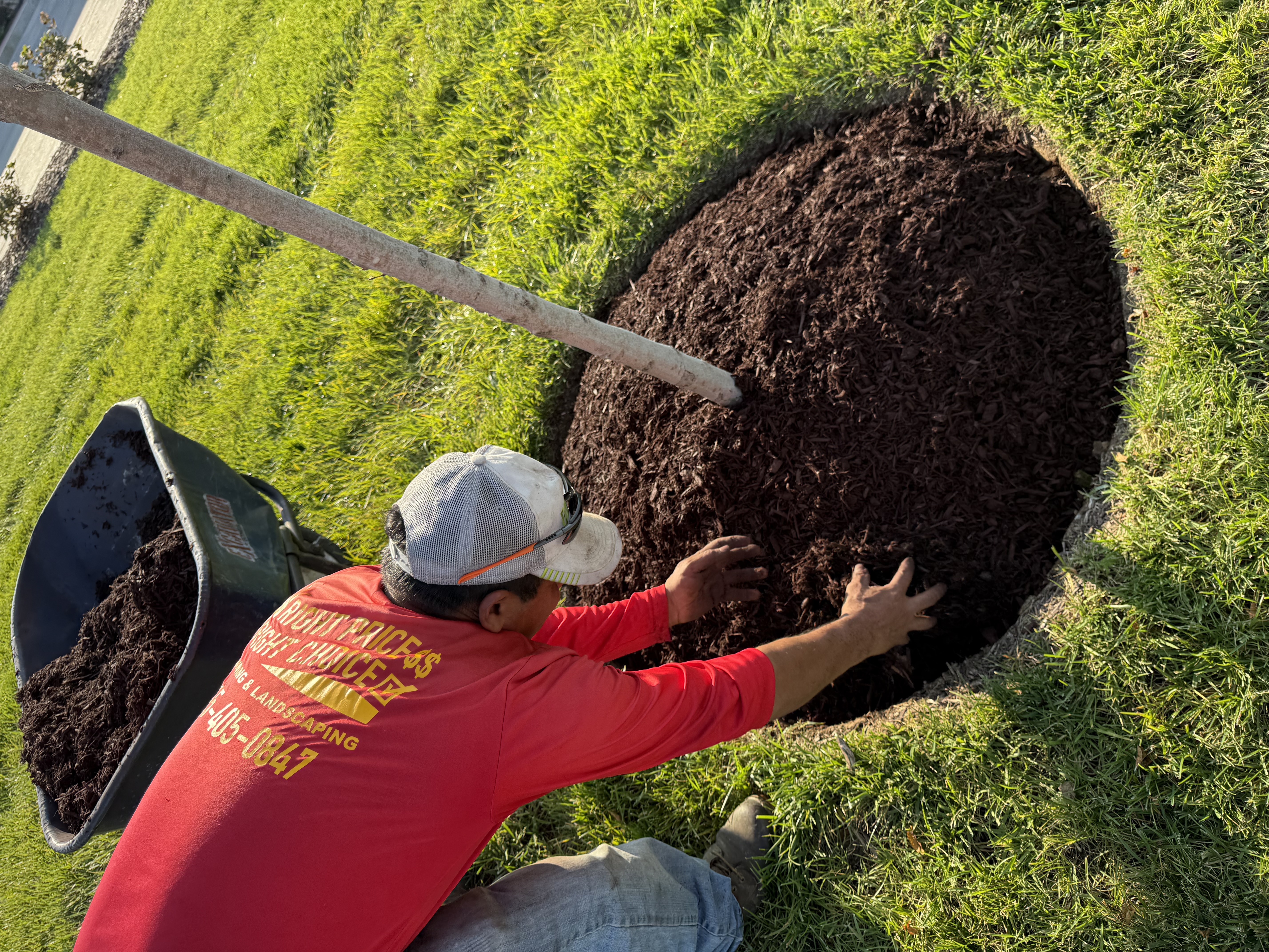  for The Right Price Right Choice Lawn Care Services in Murfreesboro, TN