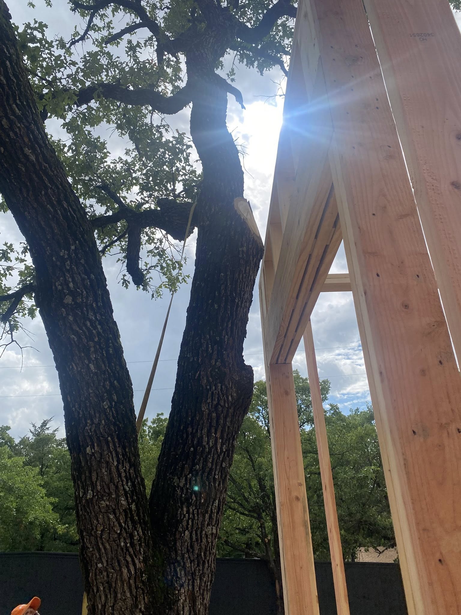  for Hector’s Tree Services in Nocona, TX