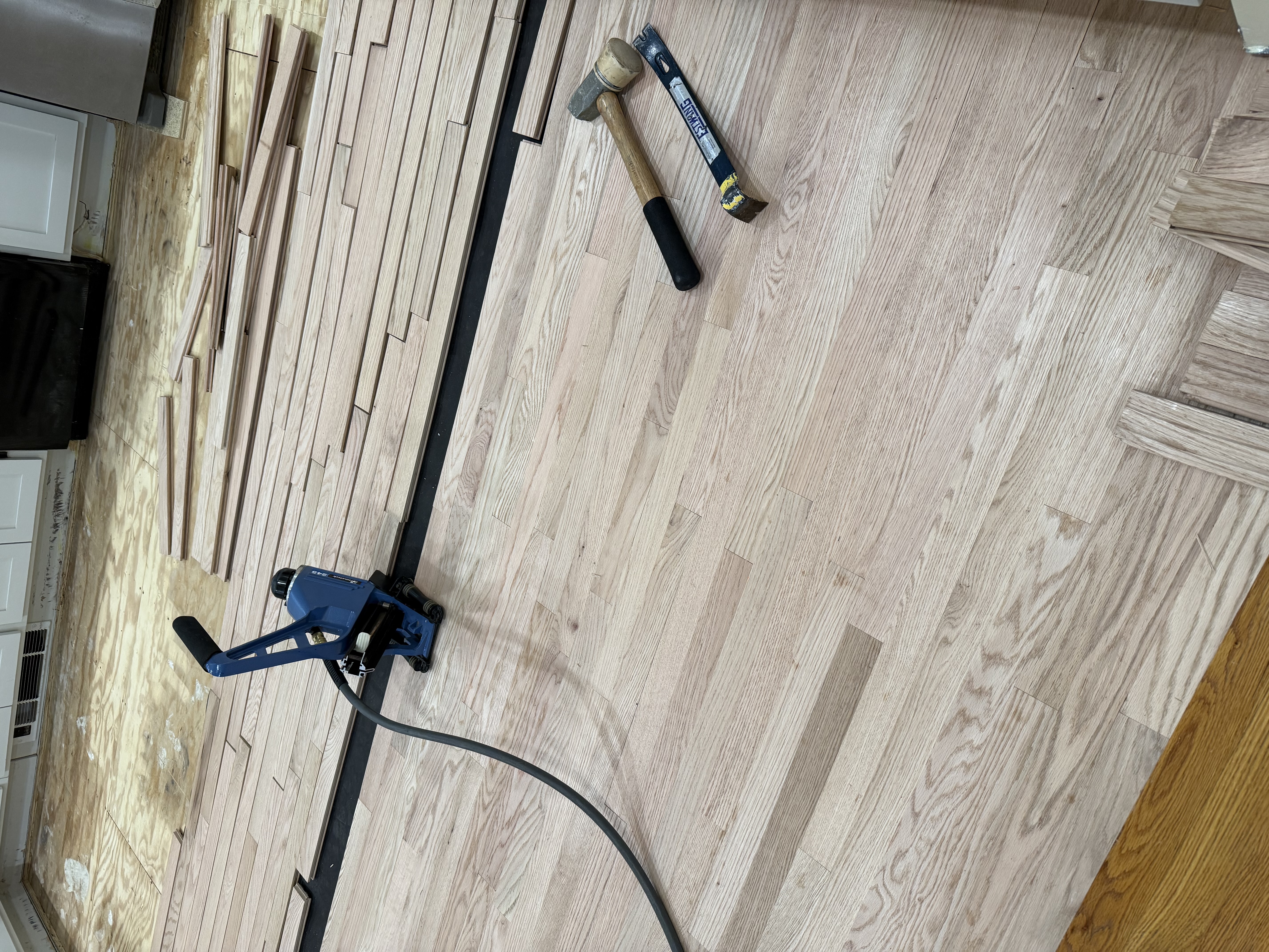  for Finely Finished LLC in Wyoming, DE