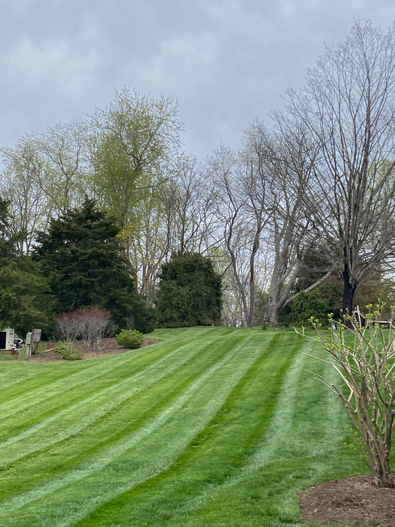  for Valencia’s Lawncare in Charlottesville, VA