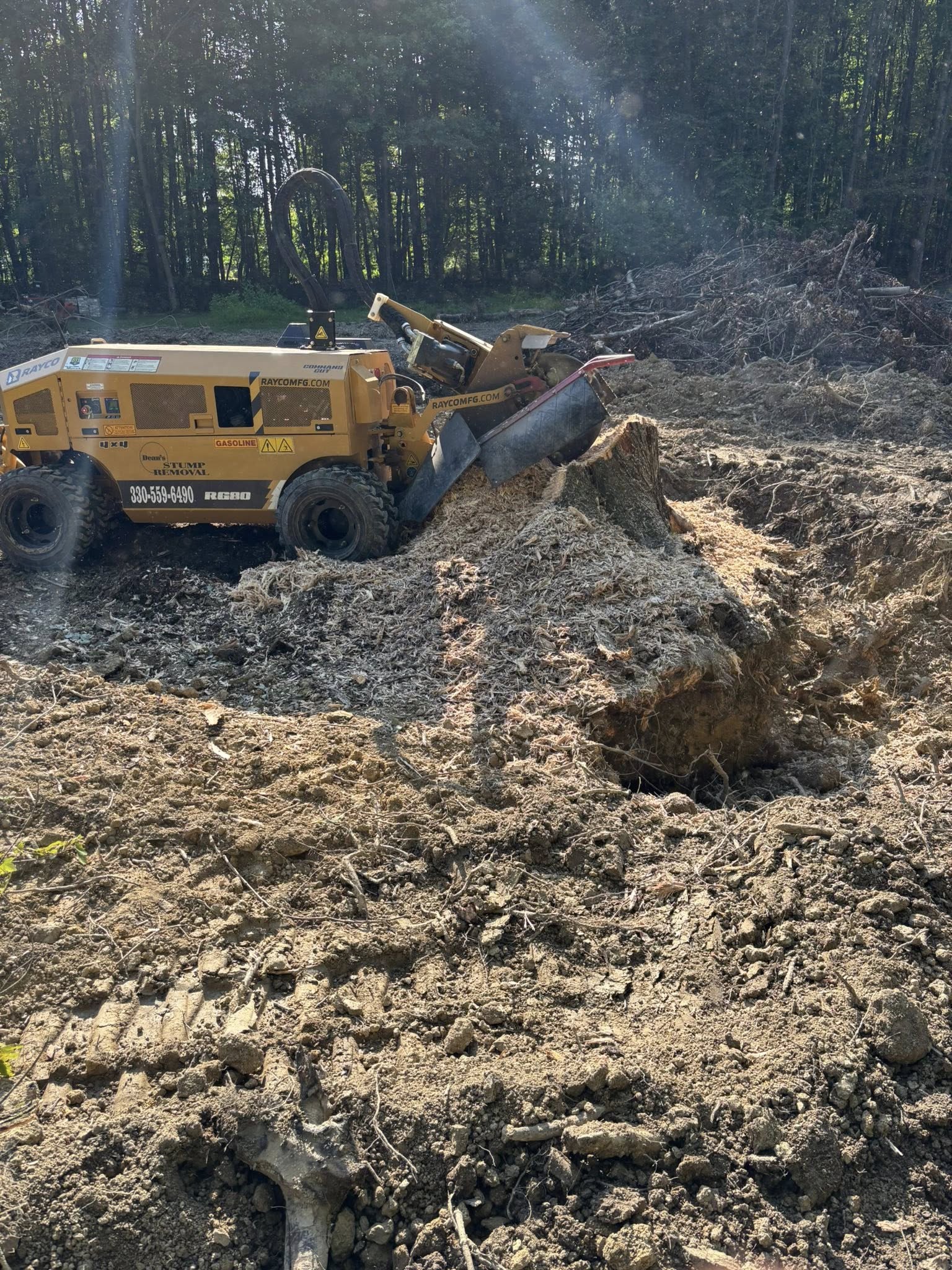 for Dean's Stump Removal in Youngstown, OH