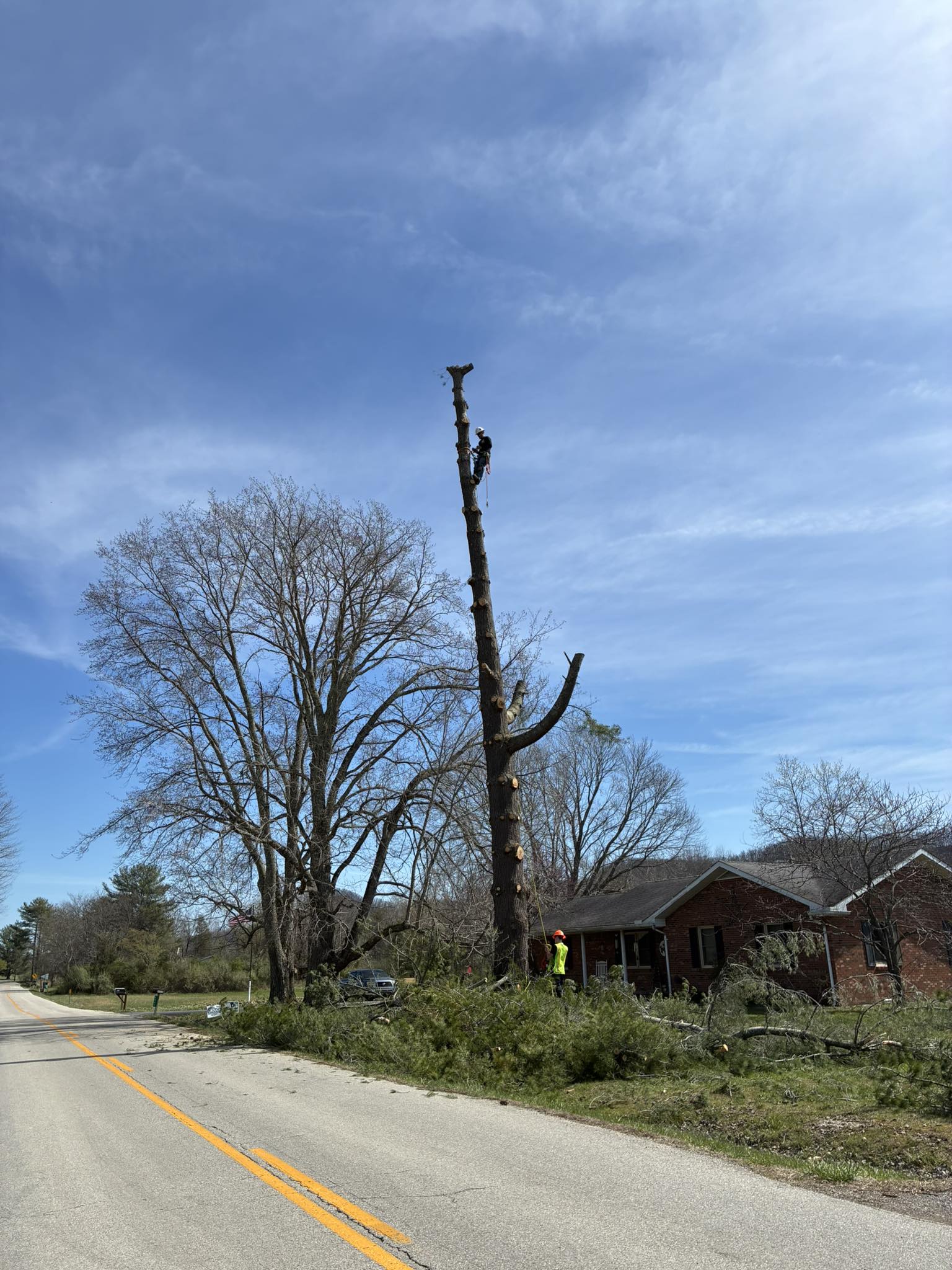 for Skys The Limit Tree Management in Morehead, KY