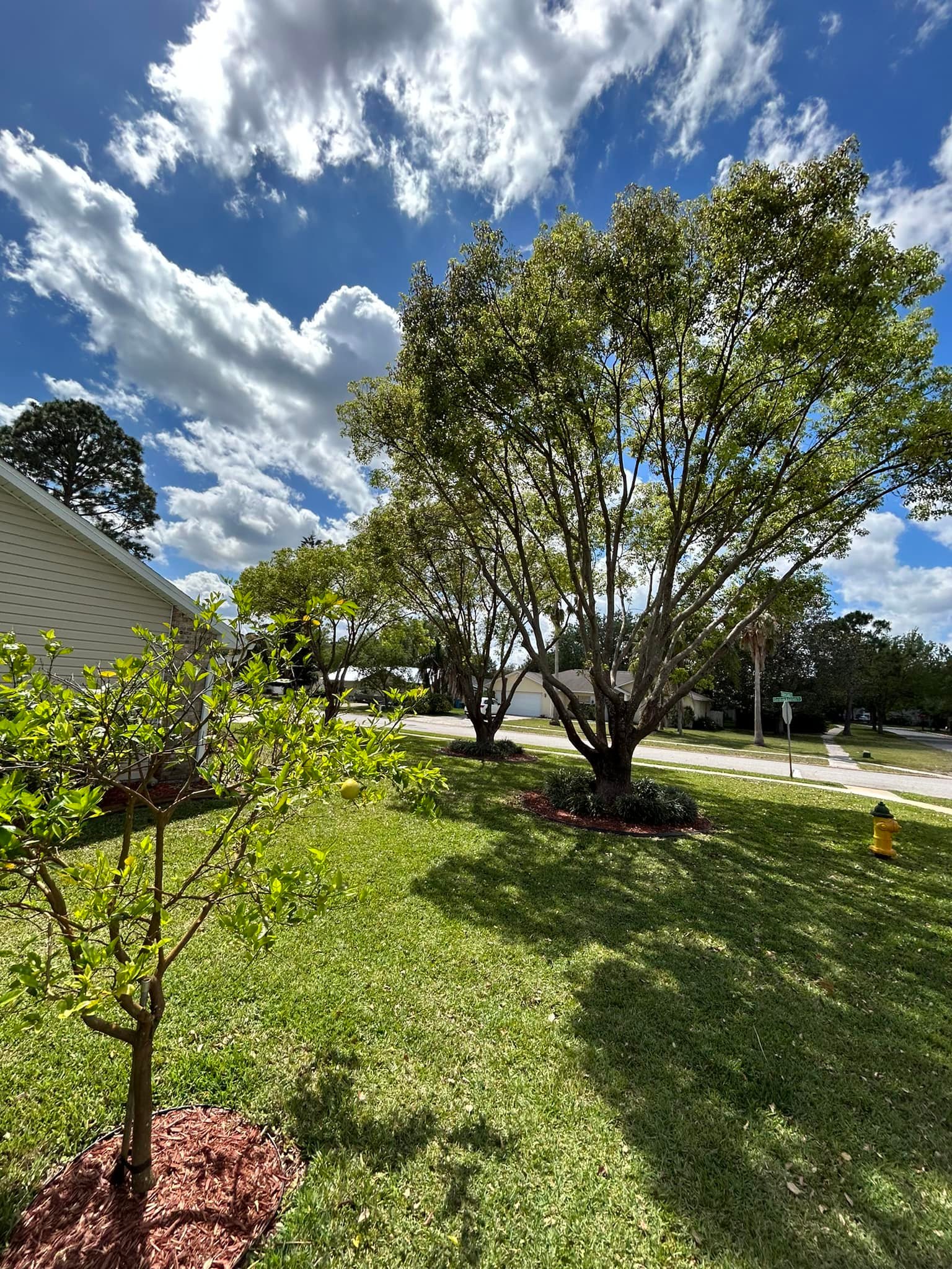  for Aside from the Rest in Port Orange, FL