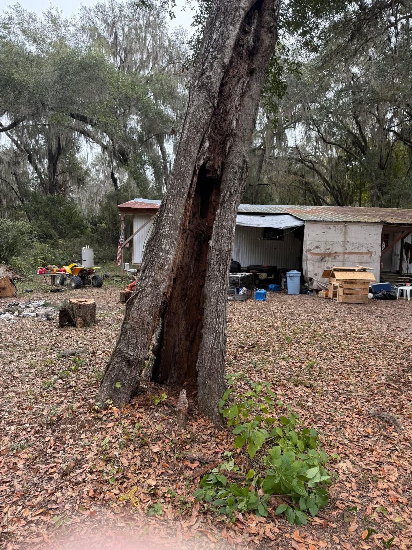  for All Around Guys Tree Service in Ocala, FL