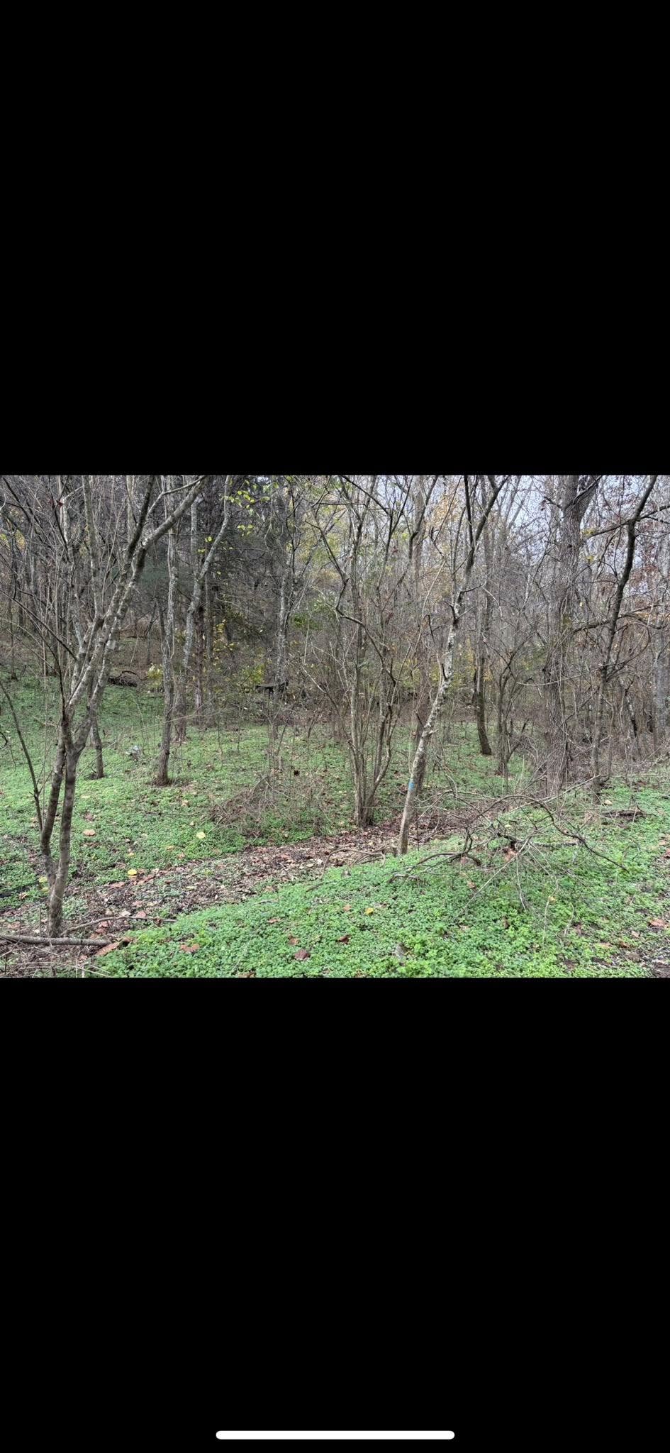  for Gregory Grass and Land in Lafayette, TN