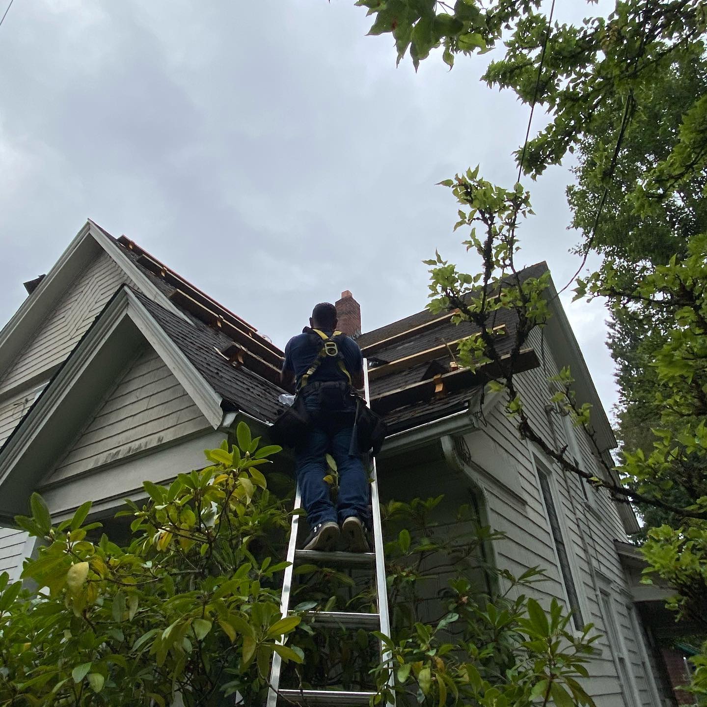 MDM Roofing team in Portland, OR - people or person