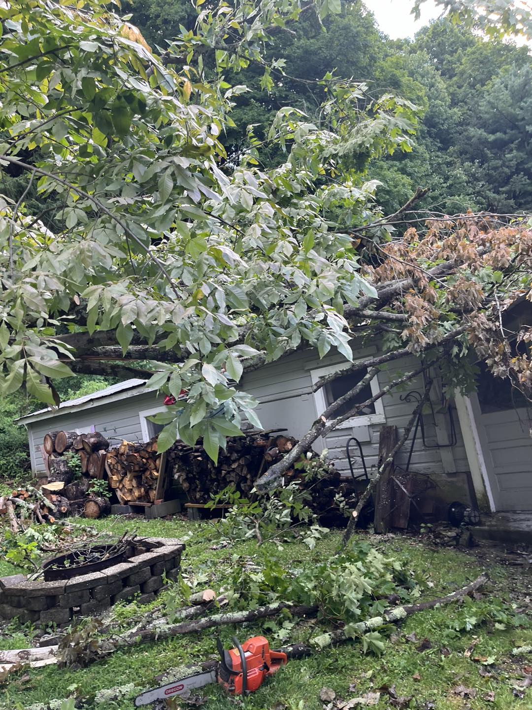  for Helfert Tree Service in Boonville, NY