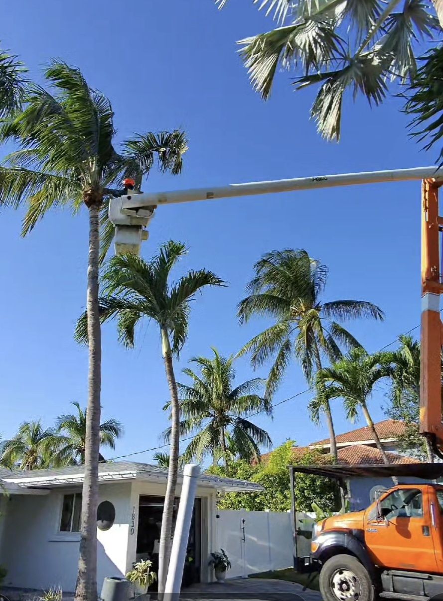  for Bridgewater Arbor Care LLC in Jupiter, FL