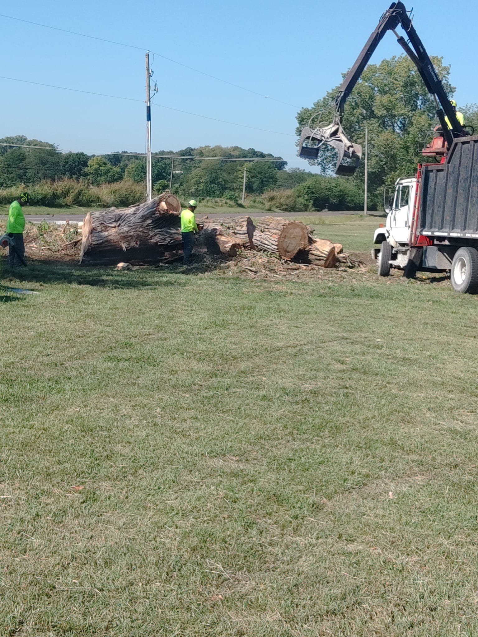  for Mitchell Tree Company in Lathrop, MO