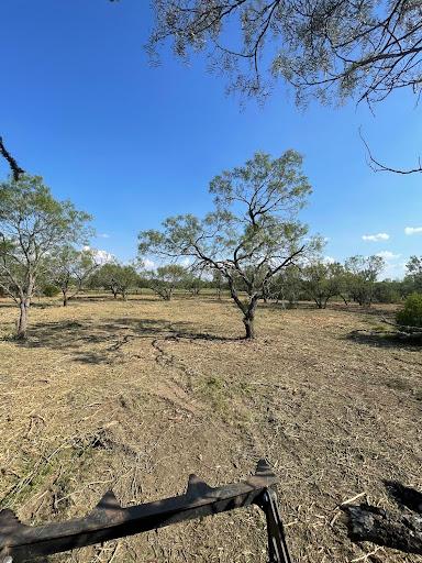  for TS Land Mangement in Bigfoot, TX