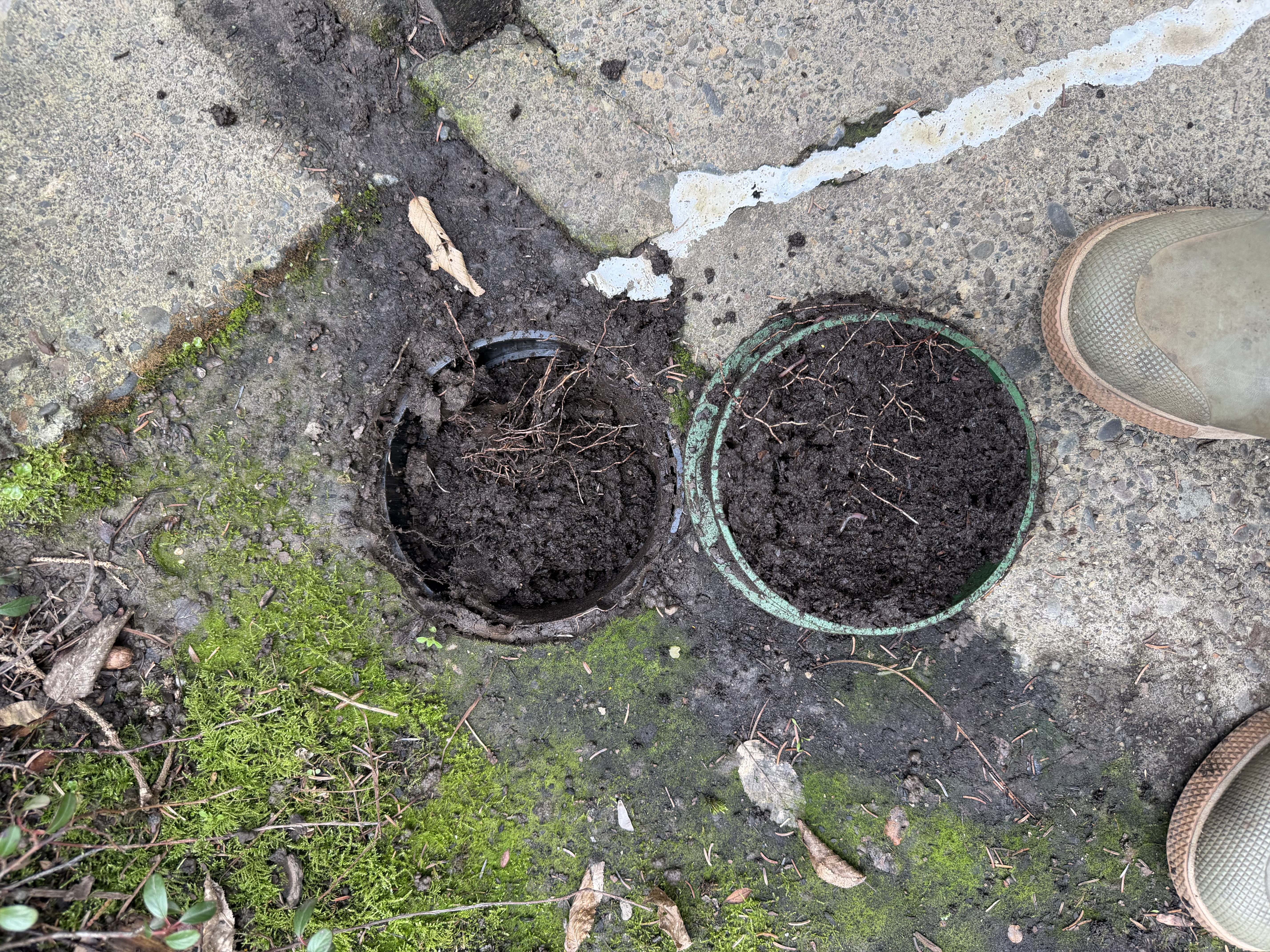  for Mountain View Services in Sandy, OR