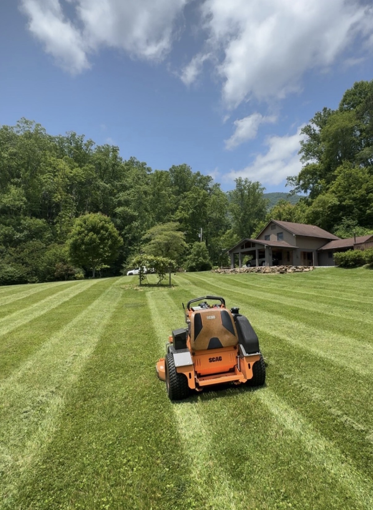  for John Lawns in Candler, NC
