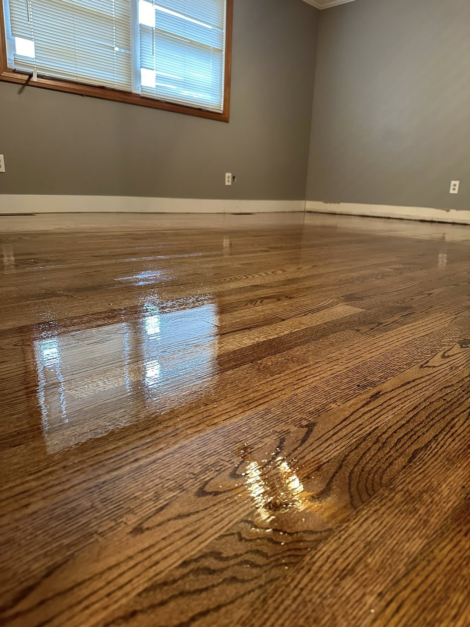  for DV Flooring Company LLC in High Ridge, MO