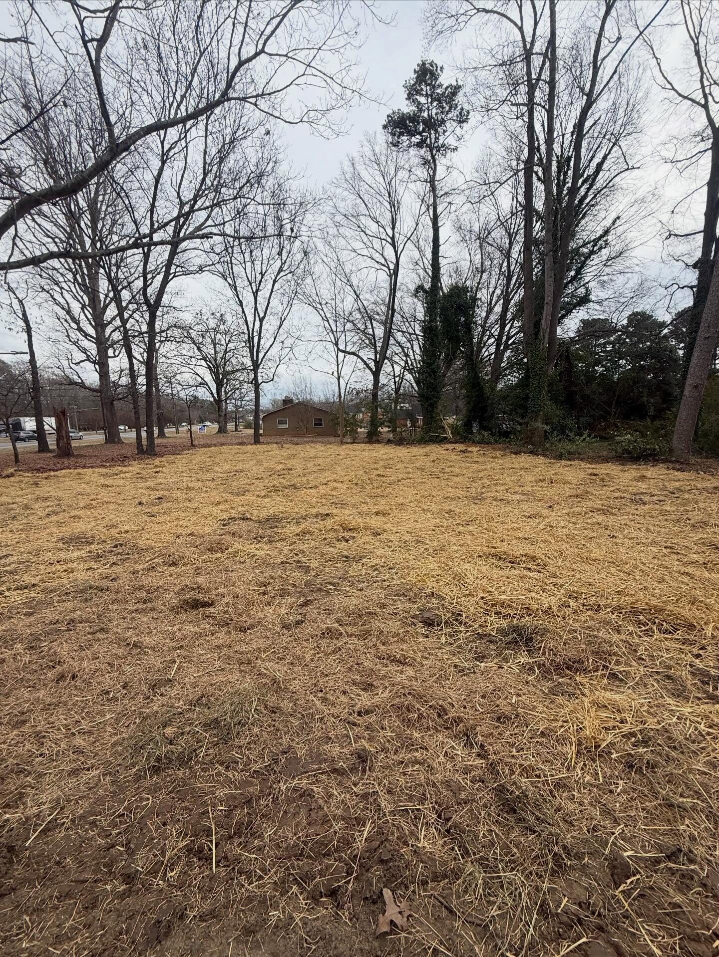  for Mighty Moose in Charlotte, NC