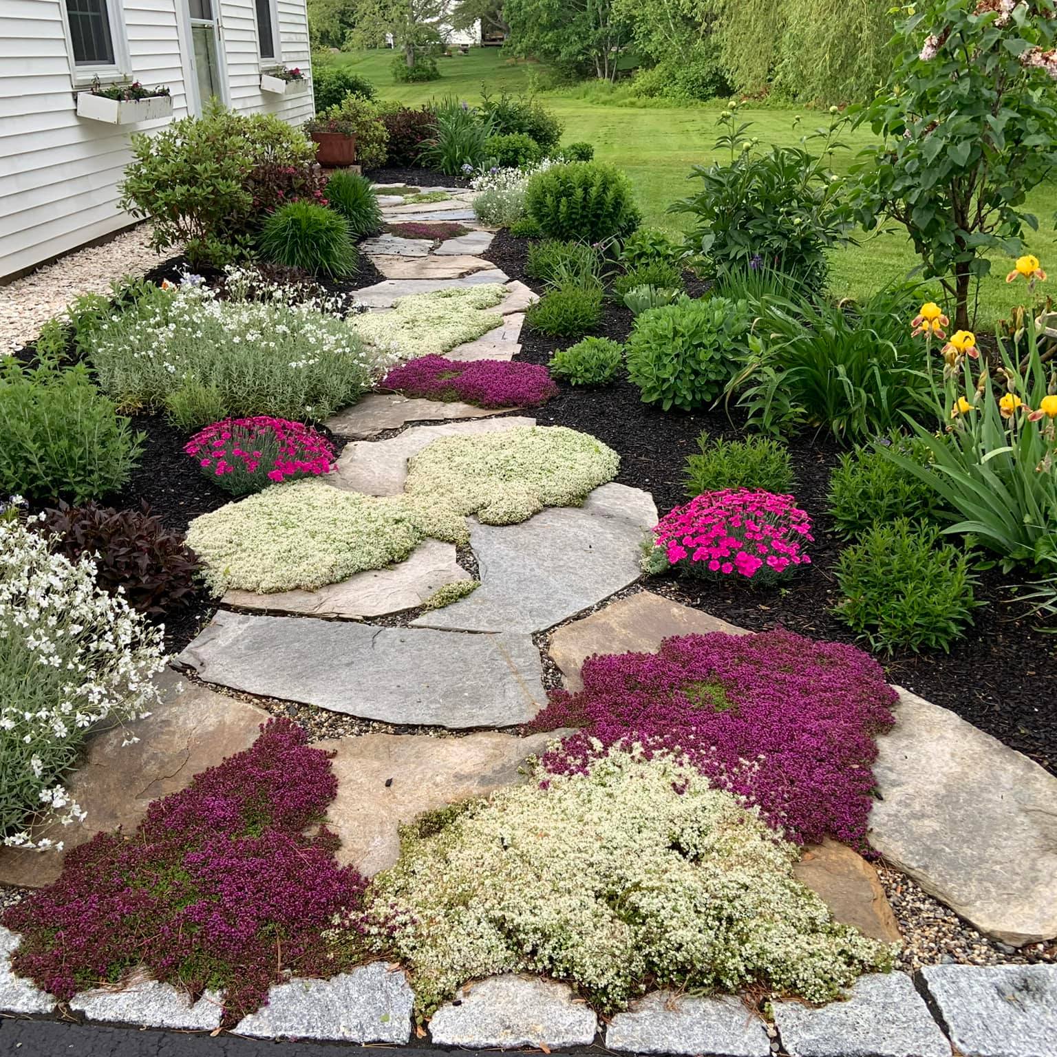 Masonry company Organic Innovations Stonework and Design in Brunswick, ME