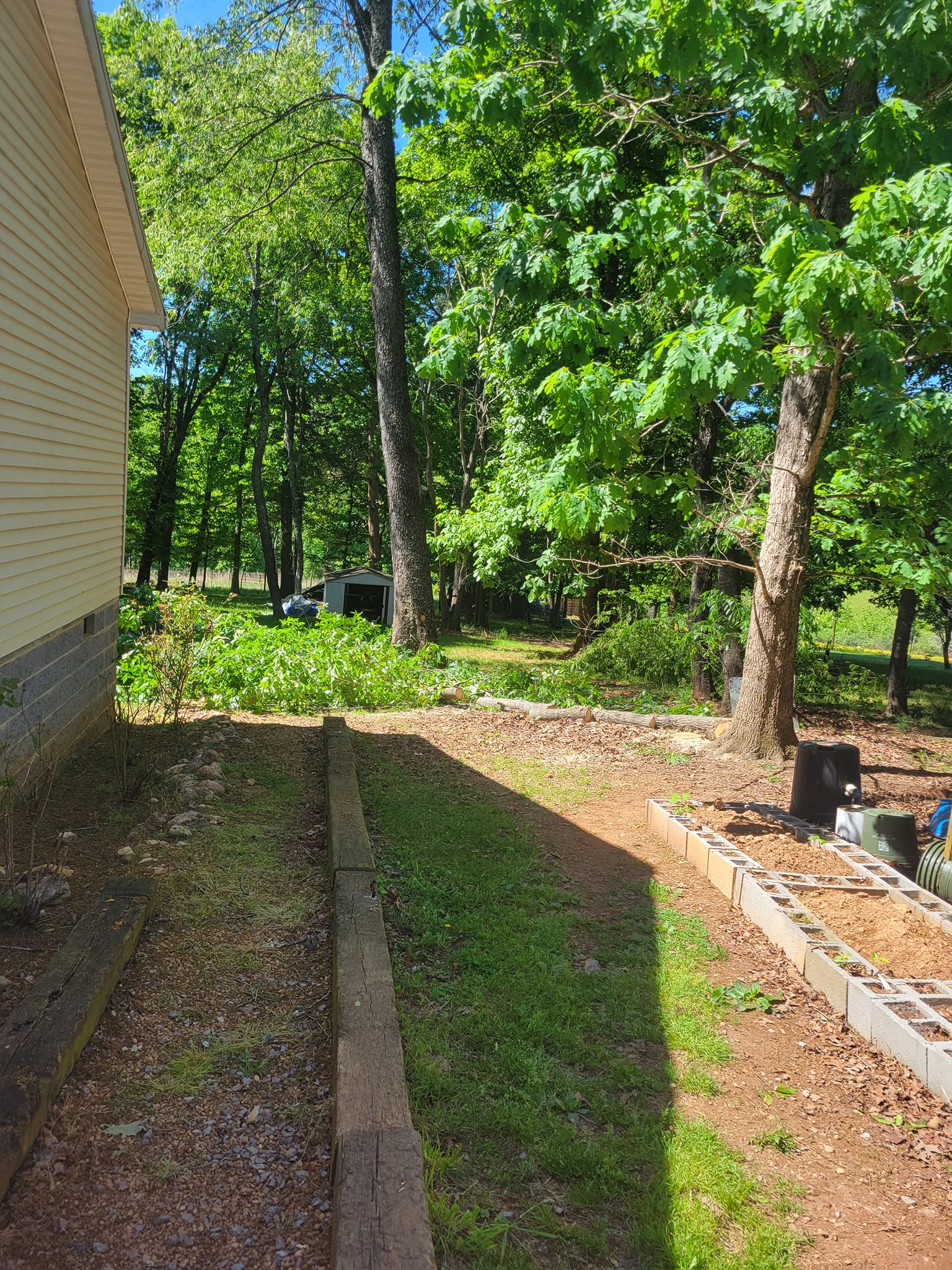  for Red Roosters Tree Services in Bedford, VA