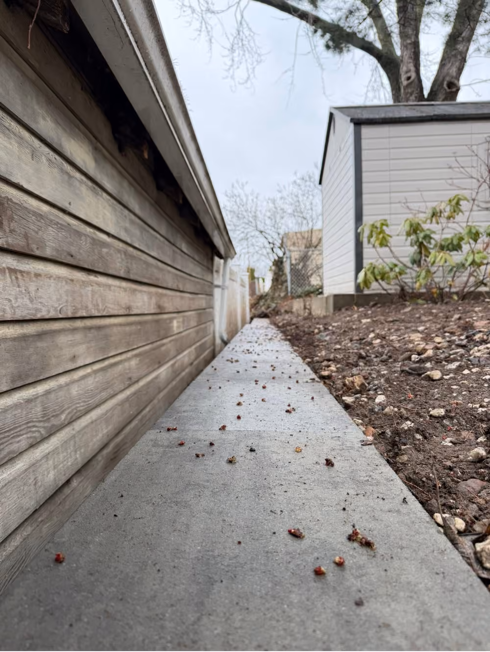 Failing Retaining Wall Replaced Before It Caused Real Damage