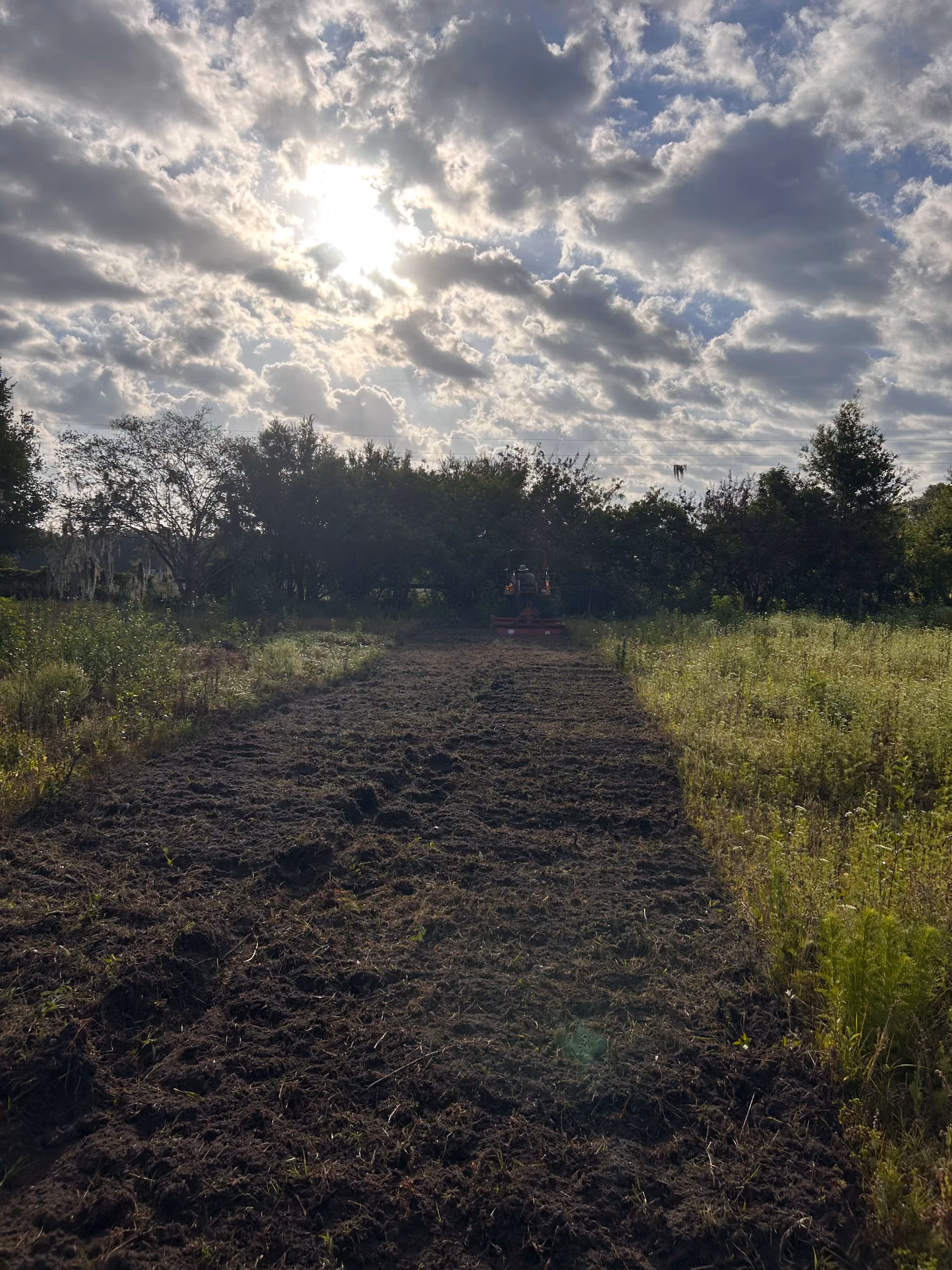 Pond Area Cleanup, Organic Integration, and Driveway Drainage Grading