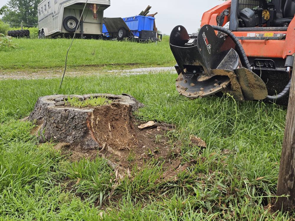 I and R Stump Grinding team in Thornville, OH - people or person