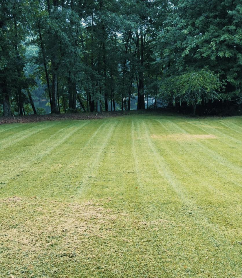  for Taylormade Lawn Management in Clarkesville, GA