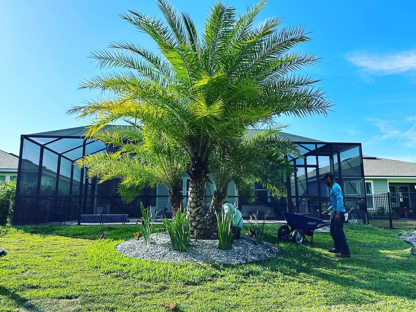  for Lawns By St. John in North East, Florida