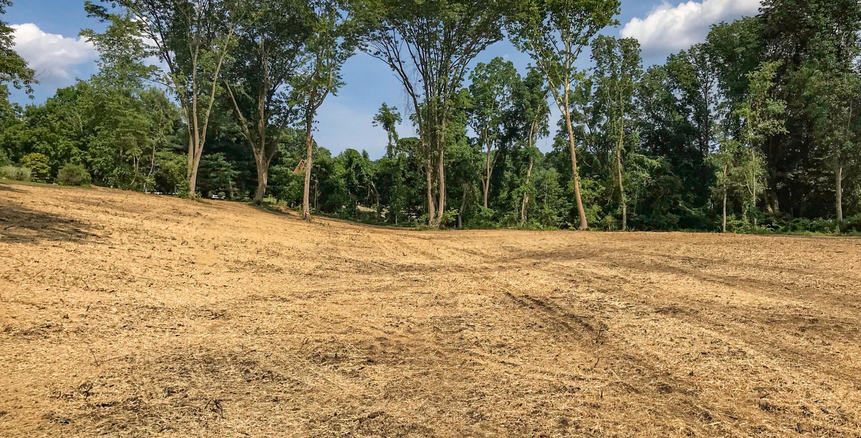  for Corona Excavating LLC in Linden, VA