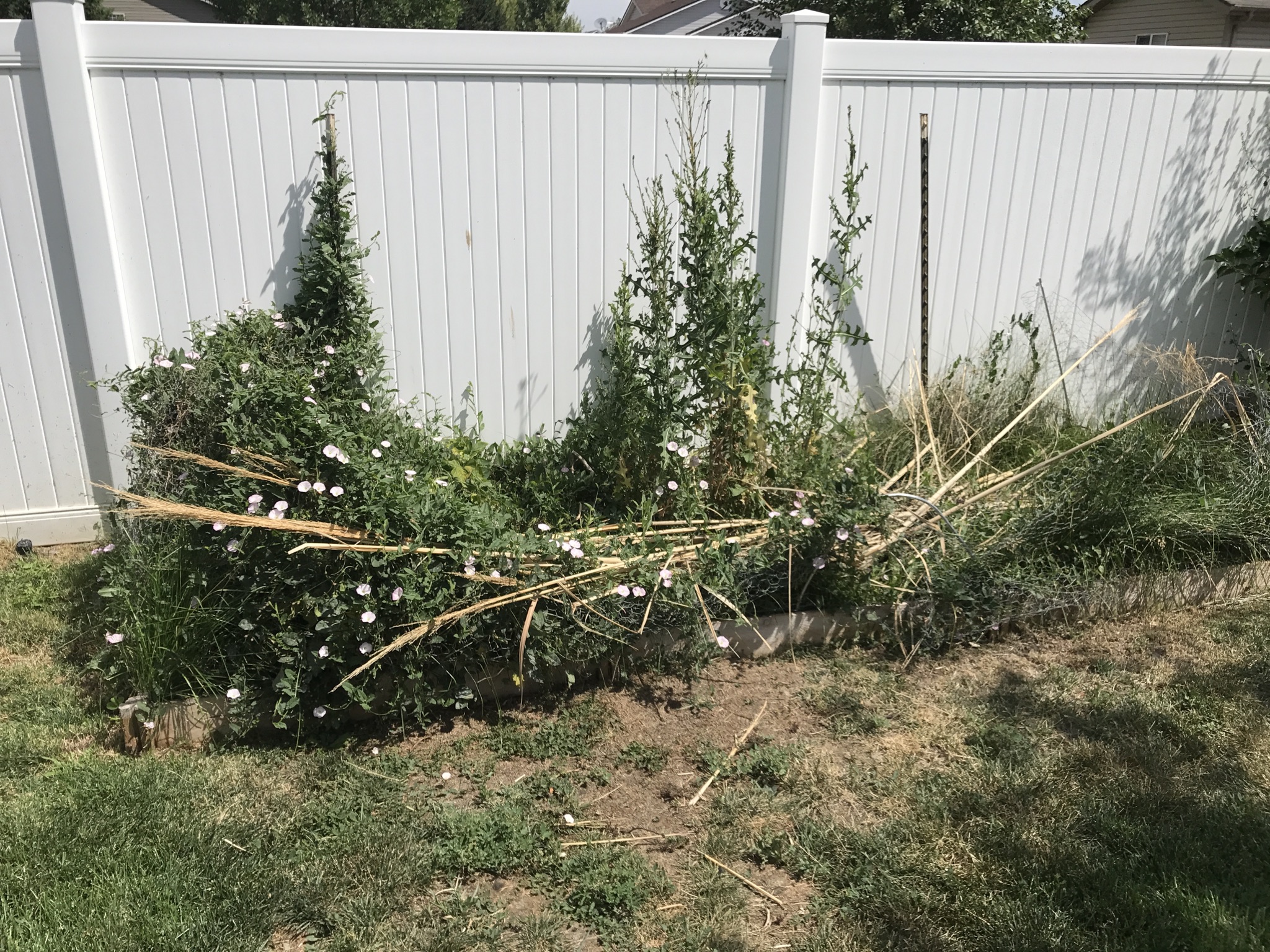  for Rock Masters Inc. in Evans, CO