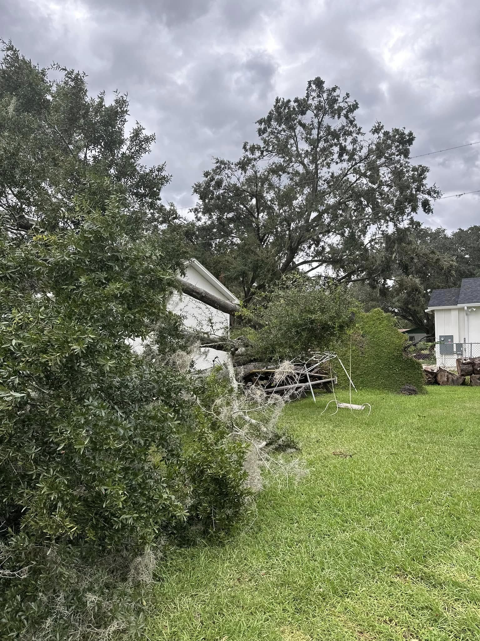  for EB Trees and Landscape in Holiday, FL