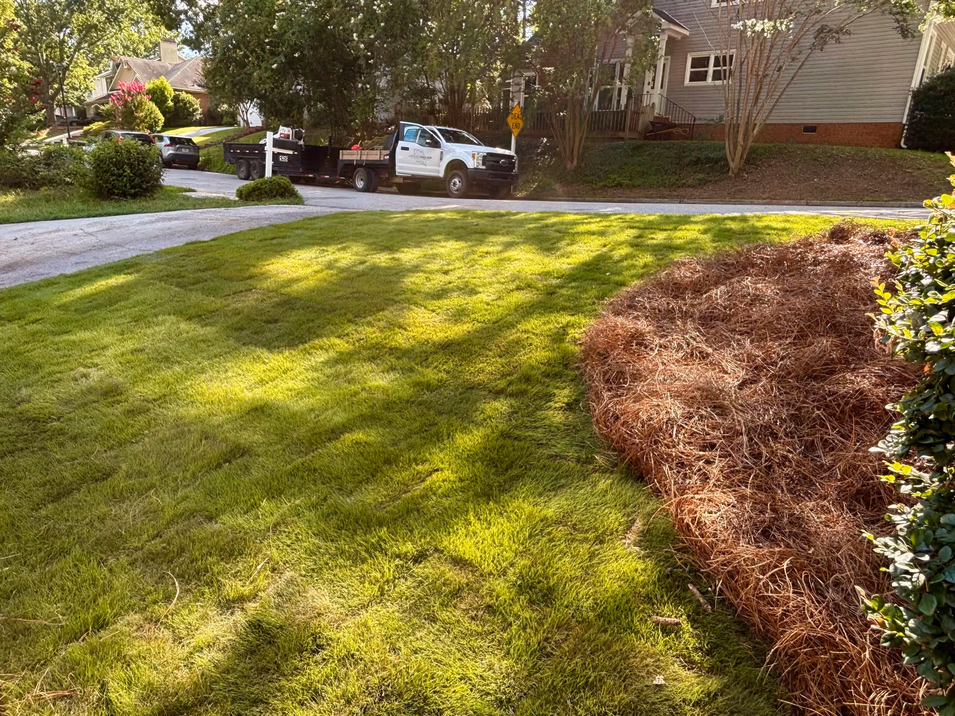 Zoysia Sod and Fresh Pine Straw - The Perfect Pair