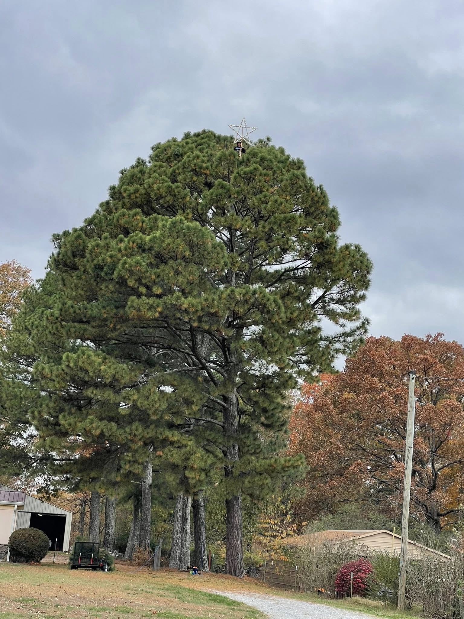  for Minnesota Seasonal in Corcoran, MN